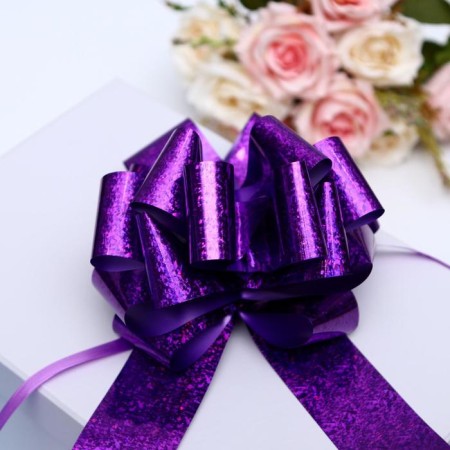 Bant-Shar No. 5 holography, purple color-2