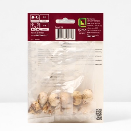 Pushkinia Lebanese alba, 6/+ rr, 10 pcs, 10-15 h (cm), autumn 2024-2