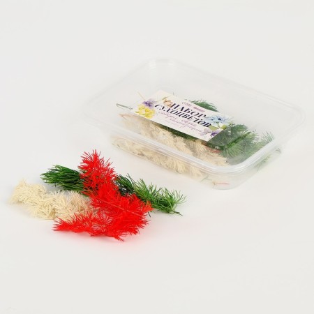 Set of dried flowers "Bright day", color mix