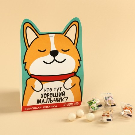 Chewing gum “Who is a good boy here?”, Taste: Tutti-Futti, 50 g.-1