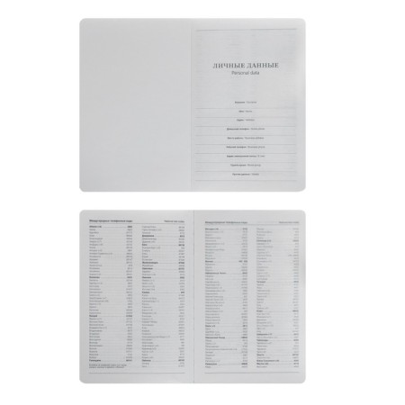 Diary Initiated "Classic" A5, 140 sheets in a cage, PVC cover, mix-3