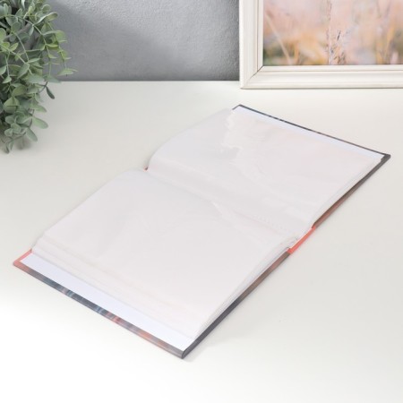 Photo album for 200 photos 10x15 cm, plastic. sheets "Elegant Landscape" Life-2