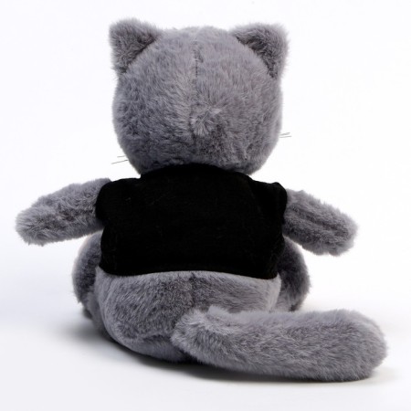 Soft toy "Cat Shanti Gentlemen"-5