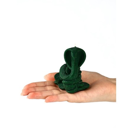 Interior candle in the box "Snake on Coins", Green, 78 x 61 x 52-6