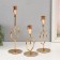 Climber Metal "Aurelius" set 3 pcs gold d = 2cm height 26; 20.5; 16.5 cm 9.5x8x26 cm