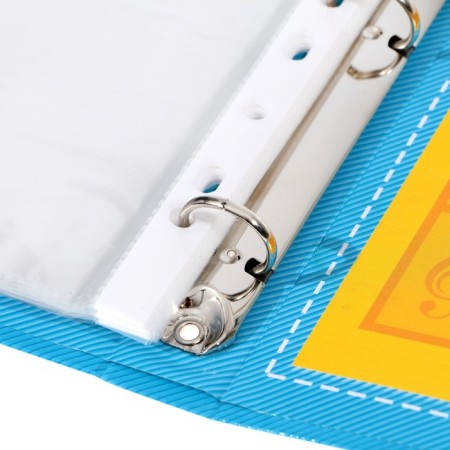 School folder on the rings "Portfolio of an elementary school student", 10 sheets-undergraduate, 24.5 x 32 cm.-5