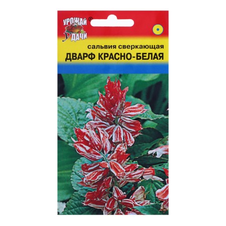 Salvia flowers "dwarf", red-white, 0.03 g