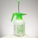 Pompoval sprayer, 2 l, ABS plastic, Greengo
