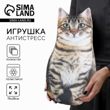 Antistress toy 