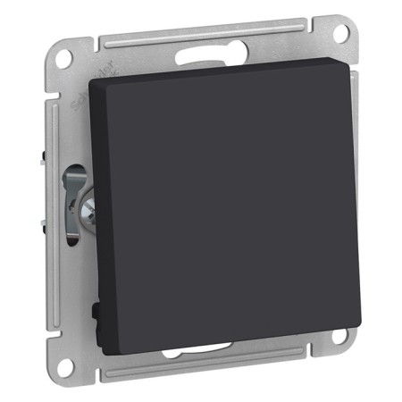 Passing SE AtlasDesign, 10 A, 1 key, IP20, hidden, color car., Atn001061