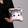 Antistress Pillow "Cat-Clay"