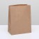 Craft package Pack Pack, rectangular bottom 22 x 12 x 29 cm 70 g/m2, set 50 pcs