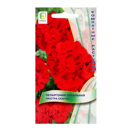 Flower seeds Pelargonium zonal chandelier Scarlet, 5pcs