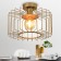 Wilhelmina 4018-211 1he27 40W lamp