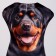 Antistress toy "Black dog"