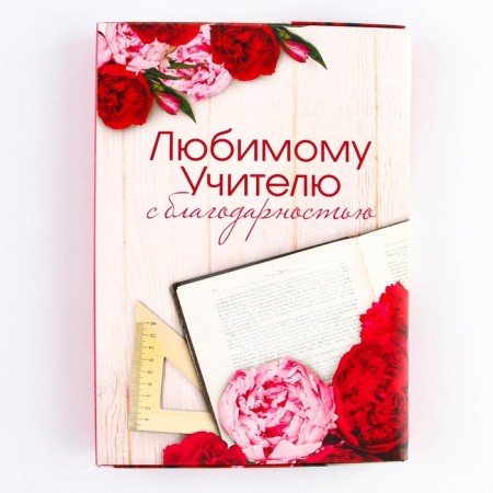 Diary in the gift box "Teacher Diaries", A5 format, 80 sheets, solid cover-11