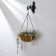 Suspended pots, d = 25 cm, with coconut insert, "hemisphere", Greengo