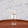 Storage set, in a case, 4 objects, transparent/white color
