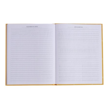 Diary for a music school, 48 sheets, hard cover, matte lamination, foil embossing, reference information, block 60g/m2-10