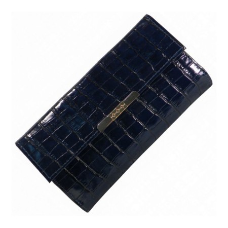 Female purse on the button, department for bills, for credit cards, for coins, blue color
