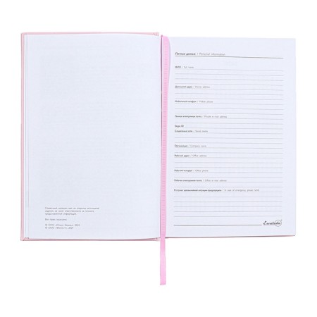 Dated 2025 diary, A5, 176 sheets of Escalada, a solid cover of artificial leather with foam rubber, pancake embossing, liesse, block 70 g/m2, pink-6