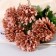 Bouquet "Chrysanthemum Susan" 7x28 cm, mix