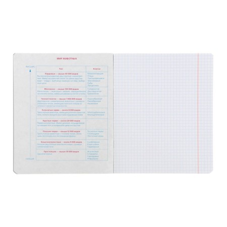 Subject notebook monocolor.element, 48 sheets in the cell "Biology", covered cardboard, lamination of software vag, selective varnish, offset block 70 g/m2-2