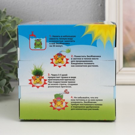 Growing gift Eco -Zhizhivchik "Football" Gift packaging-6