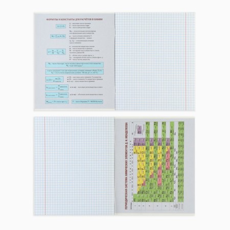 Subject notebook A5, 48 liters on the paper clip “September 1: Anime. Chaimi” VD LAK-2