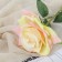 Artificial flowers "Rose Grand Prix at" 7x46 cm, cream