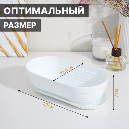 A cactus pot with a stand “Alice”, 0.9 l, white color-1