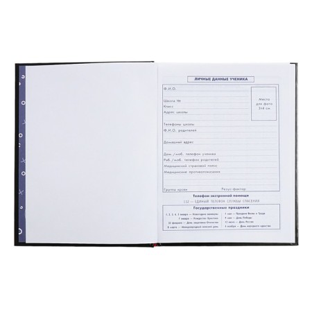 Diary for grades 5-11, 48 graffiti sheets, hard cover, glossy lamination, foil embossing, universal cheat sheet, block 65g/m2-4