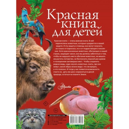 Red book for children-4
