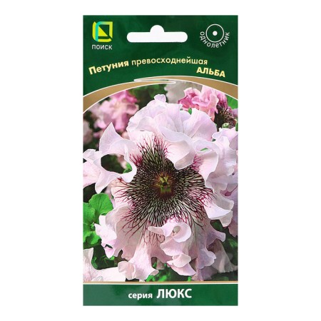 Petunia flowers are excellent Alba, 10pcs.