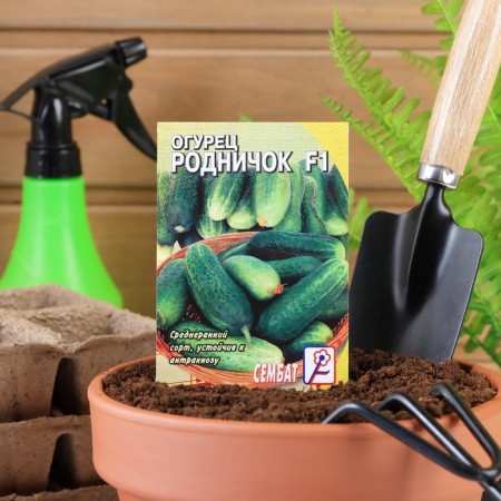 Cucumber seeds "Rodnichok" F1, 0.2 g-2