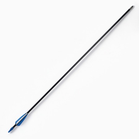 Arrow for onions, fiberglass, black, plumage - blue, 71 cm