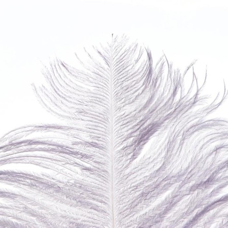 Feather for decor, length: from 45 to 60 cm, gray color-1