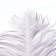 Feather for decor, length: from 45 to 60 cm, gray color