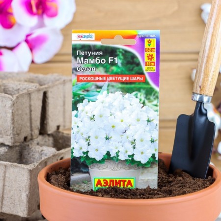 Petunia seeds "Mambo" F1 white multi -flowered, 7 pcs