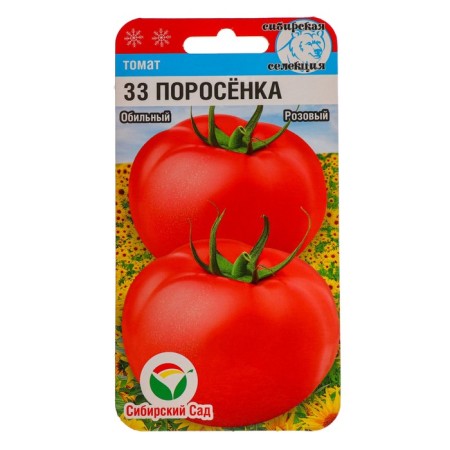 Seed Tomat "33 Pig", 20 pcs