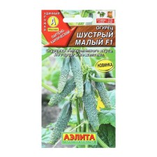 Cucumber seeds 
