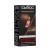 5-8 walnut light brown