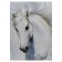Khlest painting on the subframe "White Horse" 50x70 cm