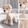 Knitting set. Amigurumi: Soft toy "dog Trevor", 16 cm