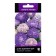 Flowers of Astra Butiful Dai Twilight Shedees, 0.1 gr
