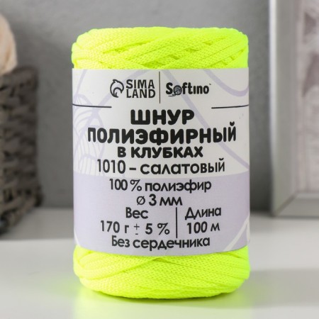 Cord flat 3 mm polyester in balls 100m/170g (+/- 5%) Salad-1010