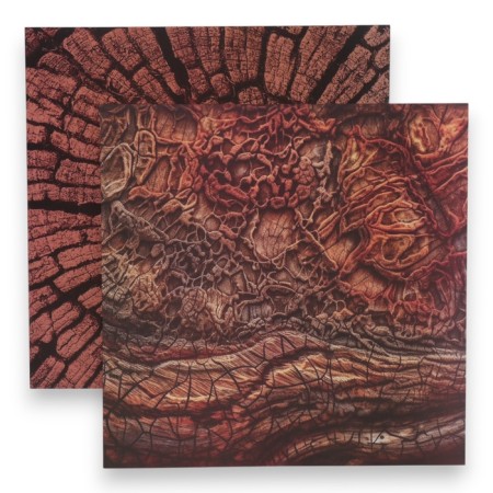 Photophone bilateral cardboard density 350 g "Tree" 50x50 cm