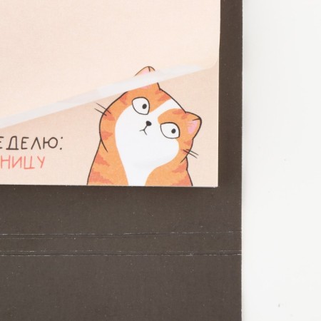 Block of paper with torn sheets in an envelope, 50 l "cat"-3