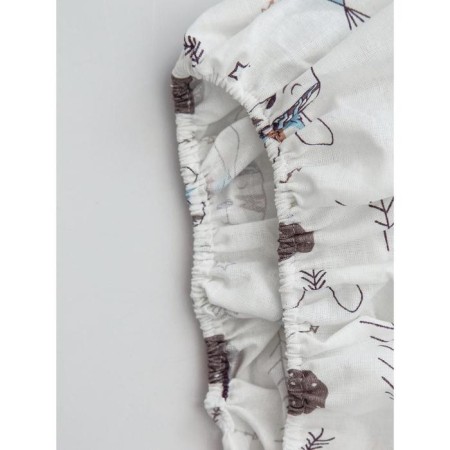 Glass sheet, size 125x75x12 cm, Indians print-3