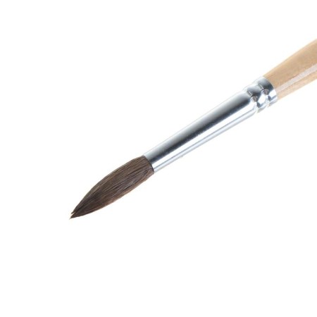 Cossack brush, round No. 7, Gamma-1